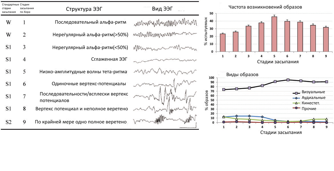 figure 2.jpg